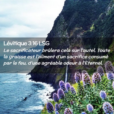 Picture 02 - Lévitique 3:16 LSG - Le sacrificateur brûlera cela sur l'autel. Toute - Bible Verse Picture
