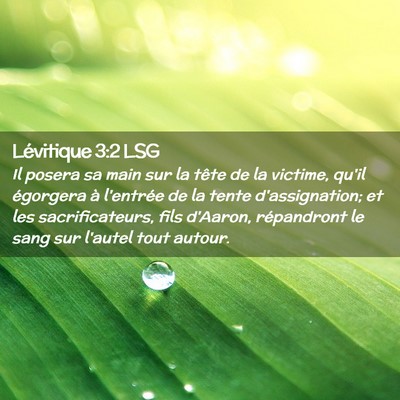 Picture 02 - Lévitique 3:2 LSG - Il posera sa main sur la tête de la victime, - Bible Verse Picture