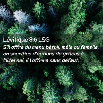 Picture 02 - Lévitique 3:6 LSG - S'il offre du menu bétail, mâle ou femelle, en - Bible Verse Picture