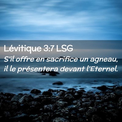 Picture 02 - Lévitique 3:7 LSG - S'il offre en sacrifice un agneau, il le - Bible Verse Picture