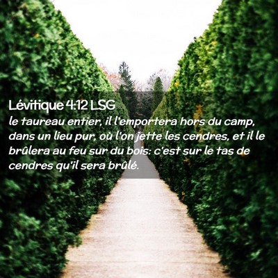 Picture 02 - Lévitique 4:12 LSG - le taureau entier, il l'emportera hors du camp, - Bible Verse Picture