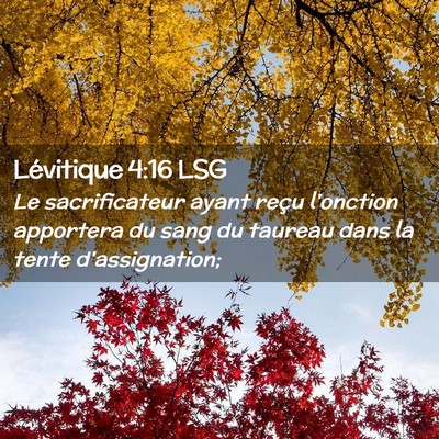 Picture 02 - Lévitique 4:16 LSG - Le sacrificateur ayant reçu l'onction apportera - Bible Verse Picture