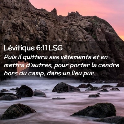 Picture 02 - Lévitique 6:11 LSG - Puis il quittera ses vêtements et en mettra - Bible Verse Picture