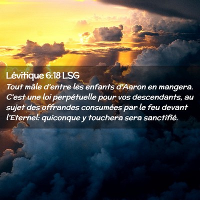 Picture 02 - Lévitique 6:18 LSG - Tout mâle d'entre les enfants d'Aaron en - Bible Verse Picture