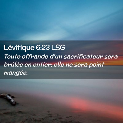 Picture 02 - Lévitique 6:23 LSG - Toute offrande d'un sacrificateur sera brûlée - Bible Verse Picture