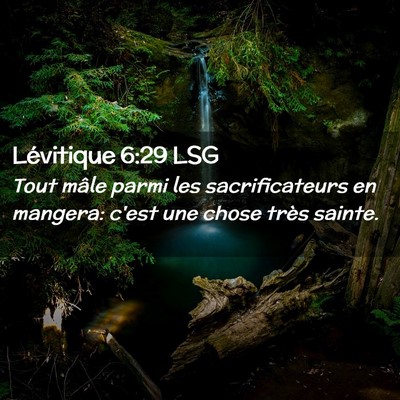 Picture 02 - Lévitique 6:29 LSG - Tout mâle parmi les sacrificateurs en mangera: - Bible Verse Picture