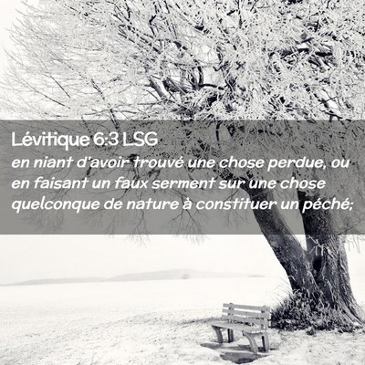 Picture 02 - Lévitique 6:3 LSG - en niant d'avoir trouvé une chose perdue, ou en - Bible Verse Picture