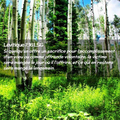 Picture 02 - Lévitique 7:16 LSG - Si quelqu'un offre un sacrifice pour - Bible Verse Picture