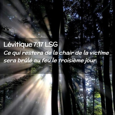 Picture 02 - Lévitique 7:17 LSG - Ce qui restera de la chair de la victime sera - Bible Verse Picture