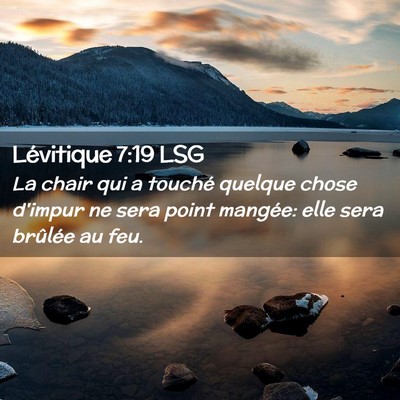 Picture 02 - Lévitique 7:19 LSG - La chair qui a touché quelque chose d'impur ne - Bible Verse Picture