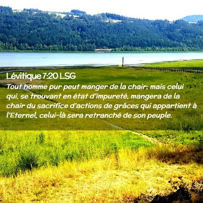 Picture 02 - Lévitique 7:20 LSG - Tout homme pur peut manger de la chair; mais - Bible Verse Picture
