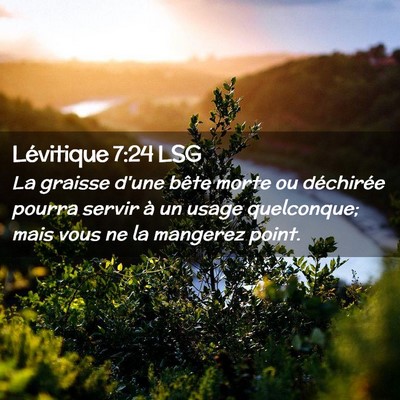 Picture 02 - Lévitique 7:24 LSG - La graisse d'une bête morte ou déchirée pourra - Bible Verse Picture