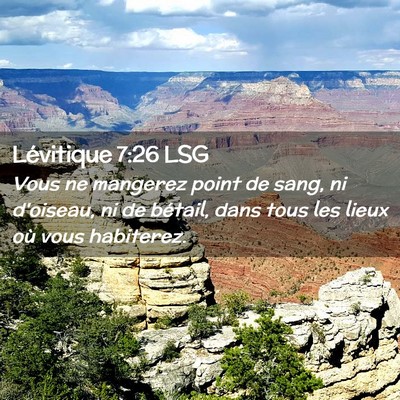 Picture 02 - Lévitique 7:26 LSG - Vous ne mangerez point de sang, ni d'oiseau, ni - Bible Verse Picture