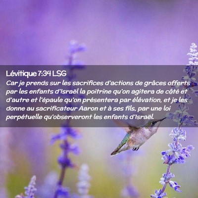 Picture 02 - Lévitique 7:34 LSG - Car je prends sur les sacrifices d'actions de - Bible Verse Picture