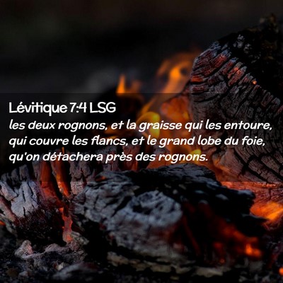 Picture 02 - Lévitique 7:4 LSG - les deux rognons, et la graisse qui les entoure, - Bible Verse Picture