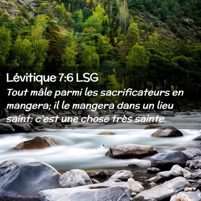 Picture 02 - Lévitique 7:6 LSG - Tout mâle parmi les sacrificateurs en mangera; - Bible Verse Picture