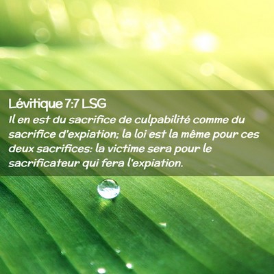 Picture 02 - Lévitique 7:7 LSG - Il en est du sacrifice de culpabilité comme du - Bible Verse Picture