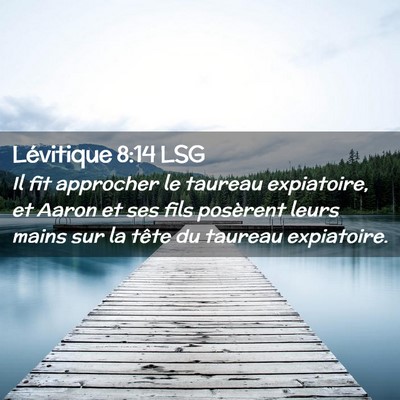 Picture 02 - Lévitique 8:14 LSG - Il fit approcher le taureau expiatoire, et Aaron - Bible Verse Picture