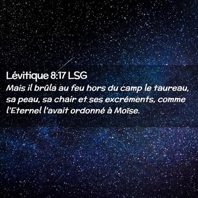 Picture 02 - Lévitique 8:17 LSG - Mais il brûla au feu hors du camp le taureau, sa - Bible Verse Picture
