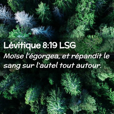 Picture 02 - Lévitique 8:19 LSG - Moïse l'égorgea, et répandit le sang sur - Bible Verse Picture