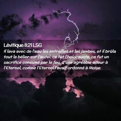 Picture 02 - Lévitique 8:21 LSG - Il lava avec de l'eau les entrailles et les - Bible Verse Picture