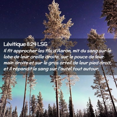 Picture 02 - Lévitique 8:24 LSG - Il fit approcher les fils d'Aaron, mit du sang - Bible Verse Picture
