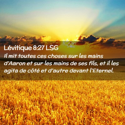 Picture 02 - Lévitique 8:27 LSG - Il mit toutes ces choses sur les mains d'Aaron et - Bible Verse Picture
