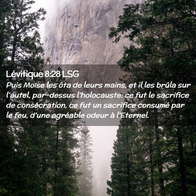 Picture 02 - Lévitique 8:28 LSG - Puis Moïse les ôta de leurs mains, et il les - Bible Verse Picture