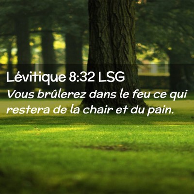 Picture 02 - Lévitique 8:32 LSG - Vous brûlerez dans le feu ce qui restera de la - Bible Verse Picture