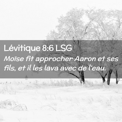 Picture 02 - Lévitique 8:6 LSG - Moïse fit approcher Aaron et ses fils, et il les - Bible Verse Picture