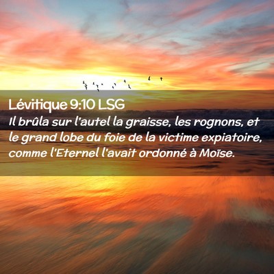 Picture 02 - Lévitique 9:10 LSG - Il brûla sur l'autel la graisse, les rognons, et - Bible Verse Picture