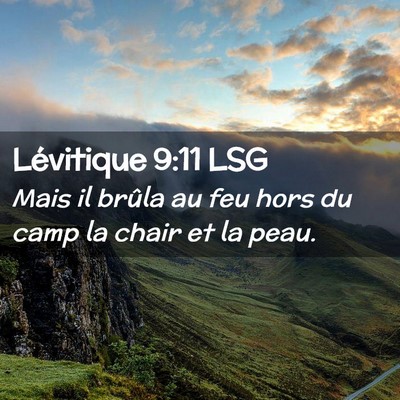 Picture 02 - Lévitique 9:11 LSG - Mais il brûla au feu hors du camp la chair et la - Bible Verse Picture