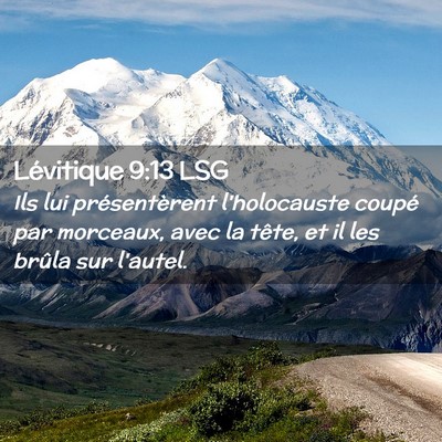 Picture 02 - Lévitique 9:13 LSG - Ils lui présentèrent l'holocauste coupé par - Bible Verse Picture