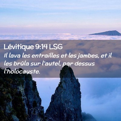 Picture 02 - Lévitique 9:14 LSG - Il lava les entrailles et les jambes, et il les - Bible Verse Picture