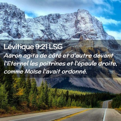 Picture 02 - Lévitique 9:21 LSG - Aaron agita de côté et d'autre devant l'Eternel - Bible Verse Picture