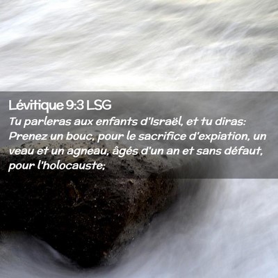 Picture 02 - Lévitique 9:3 LSG - Tu parleras aux enfants d'Israël, et tu diras: - Bible Verse Picture