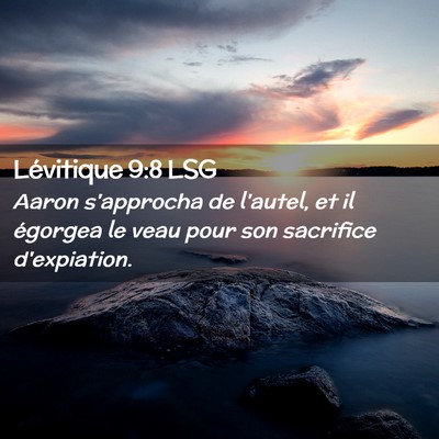 Picture 02 - Lévitique 9:8 LSG - Aaron s'approcha de l'autel, et il égorgea le - Bible Verse Picture