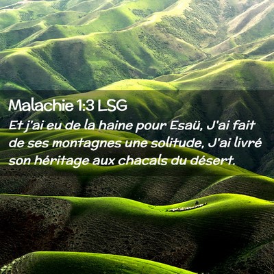 Picture 02 - Malachie 1:3 LSG - Et j'ai eu de la haine pour Esaü, J'ai fait de - Bible Verse Picture
