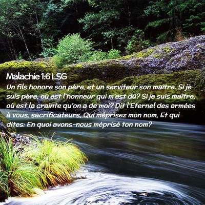 Picture 02 - Malachie 1:6 LSG - Un fils honore son père, et un serviteur son - Bible Verse Picture