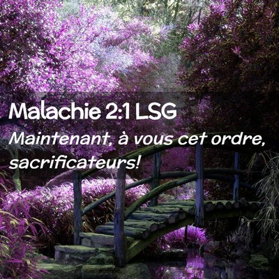Picture 02 - Malachie 2:1 LSG - Maintenant, à vous cet ordre, - Bible Verse Picture