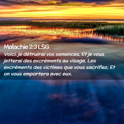 Picture 02 - Malachie 2:3 LSG - Voici, je détruirai vos semences, Et je vous - Bible Verse Picture