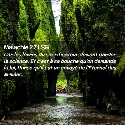 Picture 02 - Malachie 2:7 LSG - Car les lèvres du sacrificateur doivent garder - Bible Verse Picture