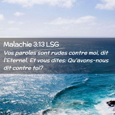 Picture 02 - Malachie 3:13 LSG - Vos paroles sont rudes contre moi, dit l'Eternel. - Bible Verse Picture