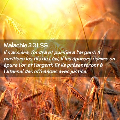 Picture 02 - Malachie 3:3 LSG - Il s'assiéra, fondra et purifiera l'argent; Il - Bible Verse Picture