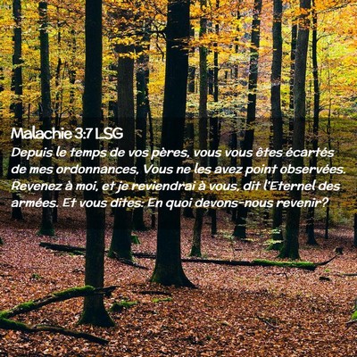 Picture 02 - Malachie 3:7 LSG - Depuis le temps de vos pères, vous vous êtes - Bible Verse Picture