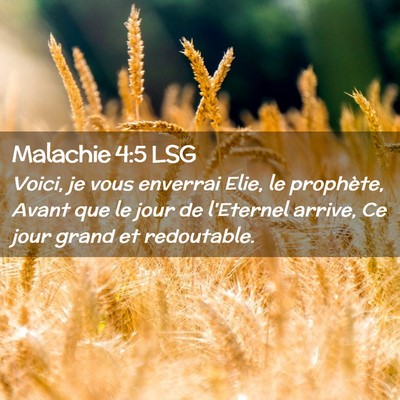 Picture 02 - Malachie 4:5 LSG - Voici, je vous enverrai Elie, le prophète, Avant - Bible Verse Picture