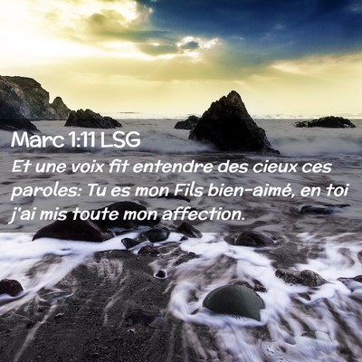 Picture 02 - Marc 1:11 LSG - Et une voix fit entendre des cieux ces paroles: - Bible Verse Picture