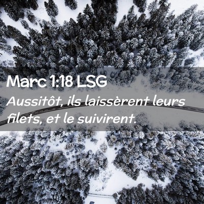 Picture 02 - Marc 1:18 LSG - Aussitôt, ils laissèrent leurs filets, et le - Bible Verse Picture