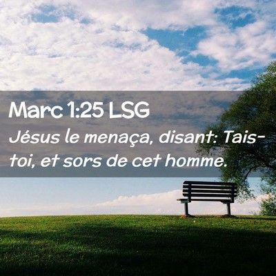 Picture 02 - Marc 1:25 LSG - Jésus le menaça, disant: Tais-toi, et sors de - Bible Verse Picture