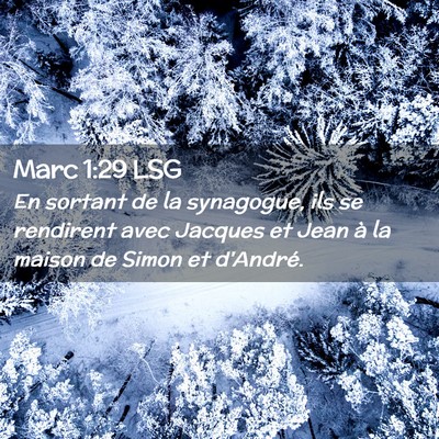Picture 02 - Marc 1:29 LSG - En sortant de la synagogue, ils se rendirent avec - Bible Verse Picture